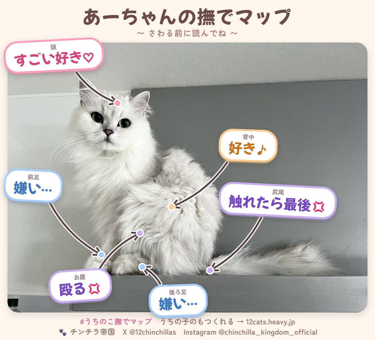 あーちゃんの撫でマップ（見本）