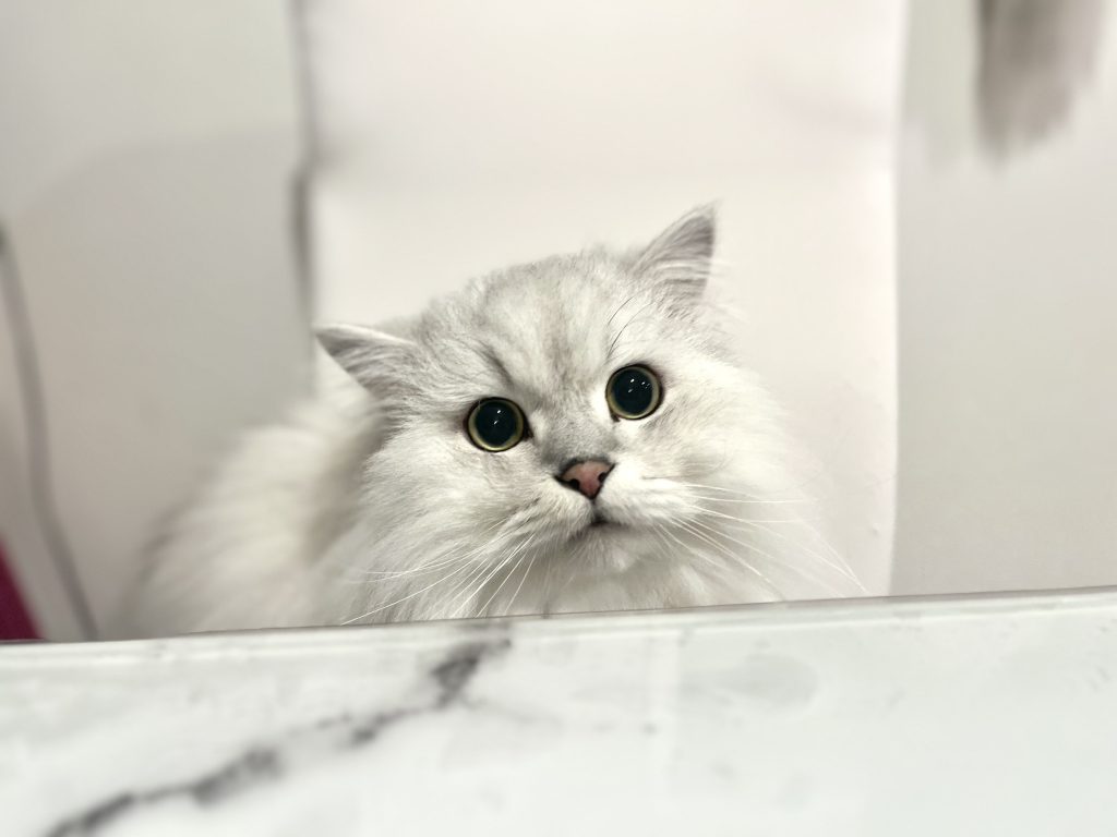 レオナルド